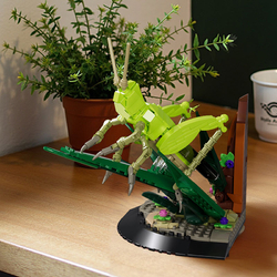 Fantastická príroda - hmyz Mould King